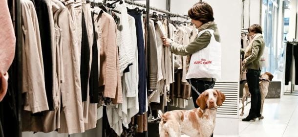 Shopping con il proprio cane? Ecco le dieci regole per non correre rischi