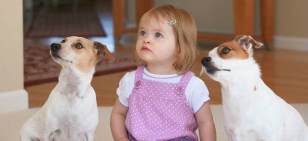 Asma: cani e gatti riducono il rischio nei bambini