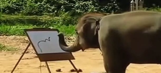 L’elefante che si fa l’autoritratto [VIDEO]
