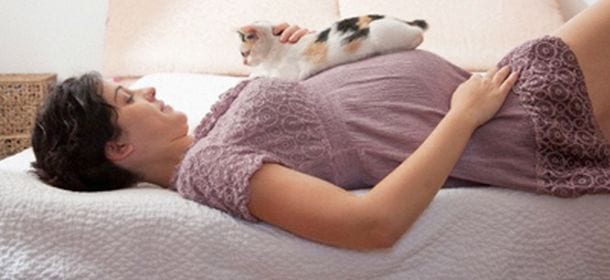 Toxoplasmosi e gravidanza: il gatto in casa è davvero pericoloso?