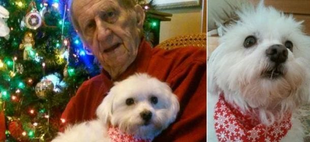 Cane aiuta un uomo di 84 anni a guarire da diversi tumori: il miracolo di Natale