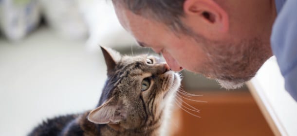 Gli animali fanno visita ai padroni ricoverati in ospedale: via libera della Toscana