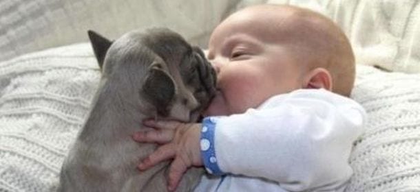 Cani e neonati: come abituare l’animale all’arrivo di un bimbo