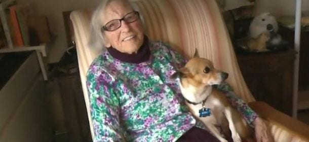 Il cane ustionato viene adottato da una signora di 96 anni: non è mai troppo tardi