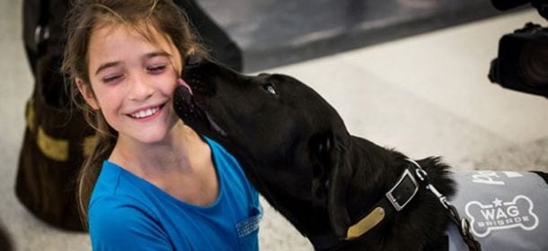 Cani contro la paura di volare: a Genova la pet therapy sbarca all'aereoporto