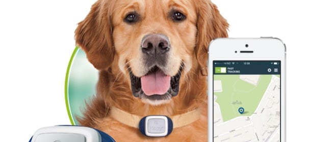 Kippy, il collare hi-tech che ritrova il vostro cane