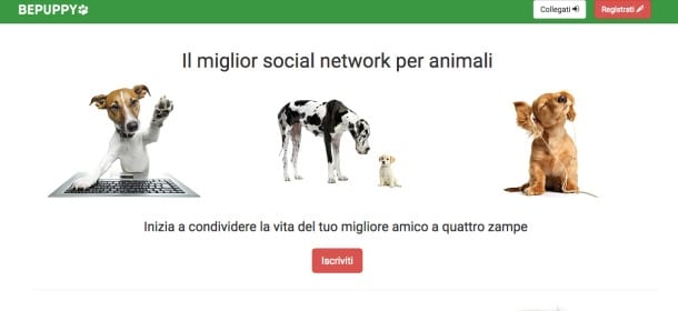 Be Puppy: ecco un social network per "soli" cani