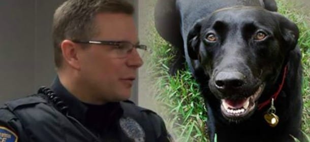 John Boy, un cane rifiutato per tre volte, salva la vita alla sua ultima padrona