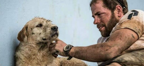 Dall'Ecuador a Stoccolma, il cane Arthur è finalmente a casa