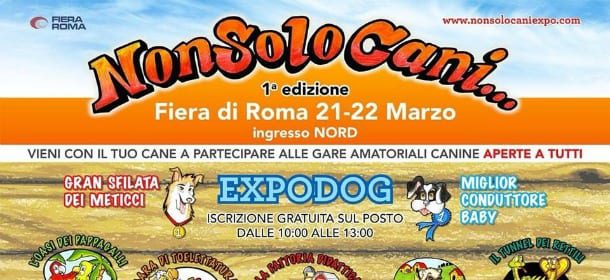 Non solo cani 2015: a Roma arriva la grande fiera del mondo animale