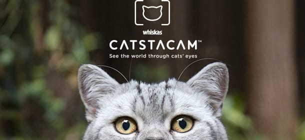 Catsacam: la fotocamera per guardare il mondo con gli occhi del vostro gatto