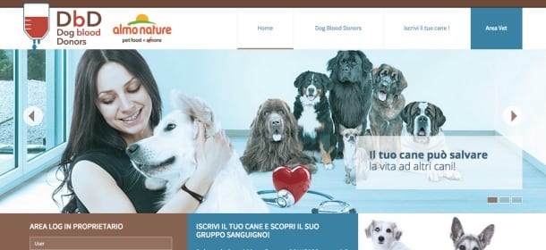 Dog blood Donors: nasce la banca dati per cani donatori di sangue