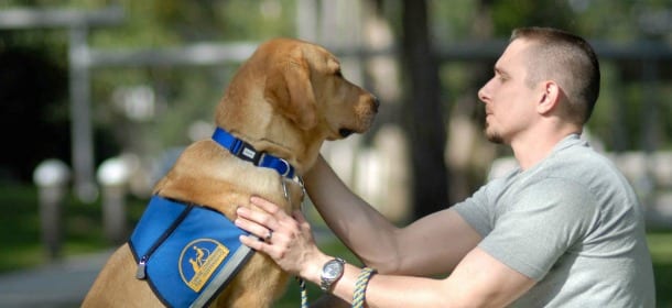 Animali e testamento: si può lasciare tutto a un gatto o un cane?