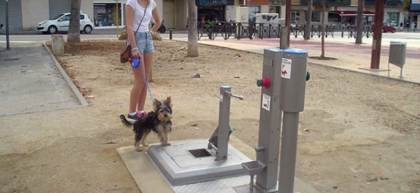 Cani: arrivano i bagni pubblici fatti apposta per loro