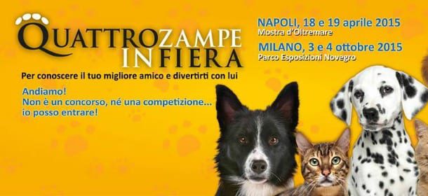 Quattrozampe in Fiera: il mondo pet si mette in mostra a Napoli