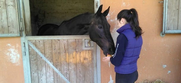 Cavalli e ippoterapia: quando il benessere arriva al galoppo