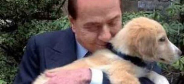 Harley, la nuova cucciola di casa Berlusconi dopo Dudù e Dudina