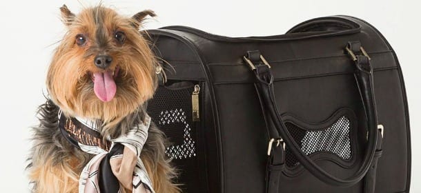 EF Loves Dogs: la linea fashion di Elisabetta Franchi che aiuta gli animali in difficoltà