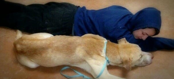 Rimane stesa diverse ore sul ciglio della strada "solo" per salvare un cane