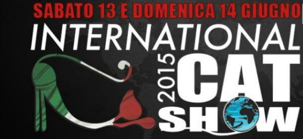 Milano International Cat Show: arriva la carica di 500 felini