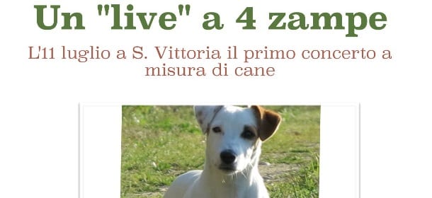 Il primo concerto per cani al Roero Music Fest: sul palco il Fever Duo