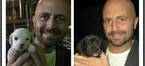 Luca Abete, Striscia la notizia: "Per me i cani non si comprano, si prendono al canile"