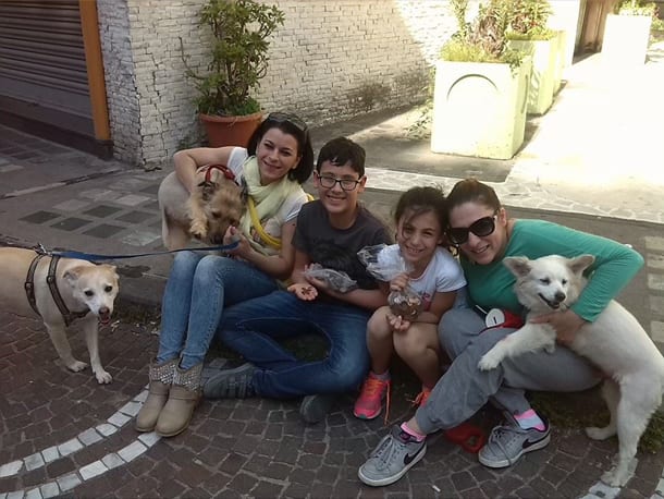 La raccolta delle briciole: l'iniziativa per i canili di due bambini conquista l'Italia