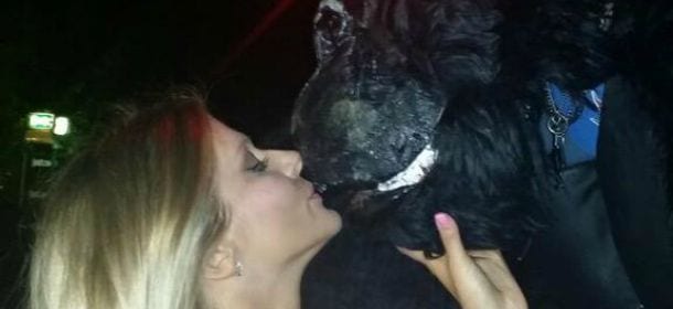 Francesca Cipriani vuole sposare Shabani: il gorilla sexy è il suo tipo ideale