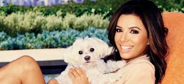 Eva Longoria e Popeye, il nuovo cane che è già una star in Rete