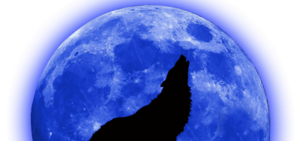 Luna Blu: cosa fare se cani e gatti sono più agitati del solito