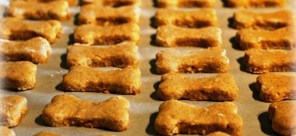 Cani e snack: la ricetta dei biscottini "freddi" senza glutine al manzo e formaggio