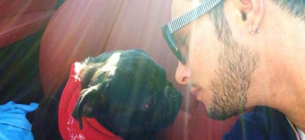 Marco Carta: "Chi abbandona un cane non merita di vivere"