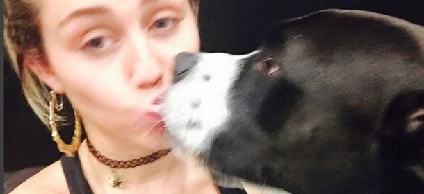 Miley Cyrus canta i suoi animali morti: nuovo album dedicato al cane Floyd e al pesce Pablow