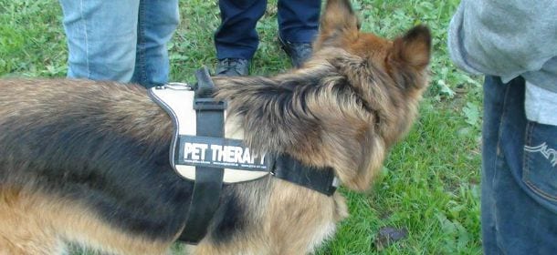 Il detenuto è depresso ma non gli fanno vedere il cane: per lui niente pet therapy