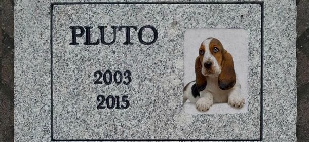 Milano, primo cimitero per gli animali: Il Fido Custode apre i battenti