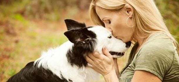 Cani: le carezze sono indispensabili per farli crescere sani ed equilibrati