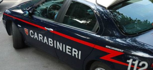 Uccide il cane a martellate: era malato di scabbia e "brutto da vedere"