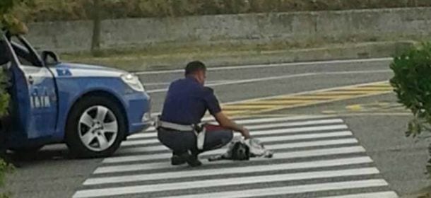 Un poliziotto si china ad aiutare un cane in mezzo all'autostrada. La verità sulla foto diventata virale