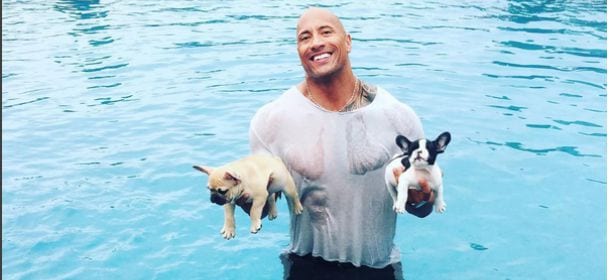 Dwayne "The Rock" Johnson salva i cani dalla piscina: "Stavano annegando, è stato un delirio"