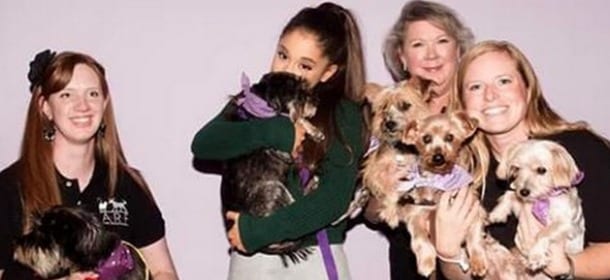 Ariana Grande adotta un altro cane abbandonato: "Benvenuto piccolo angelo"