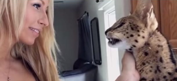 Zeus, il gattopardo africano che dice “Mamma” [VIDEO]