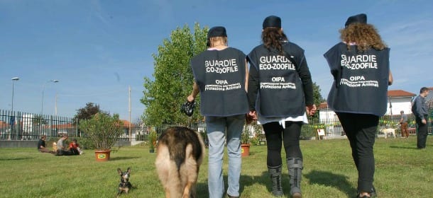 Cane legato a un'auto e trascinato per chilometri sull’asfalto