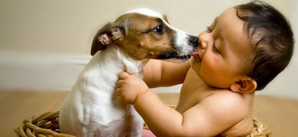 Regalare un cane a un bambino: 10 consigli per fare la scelta giusta