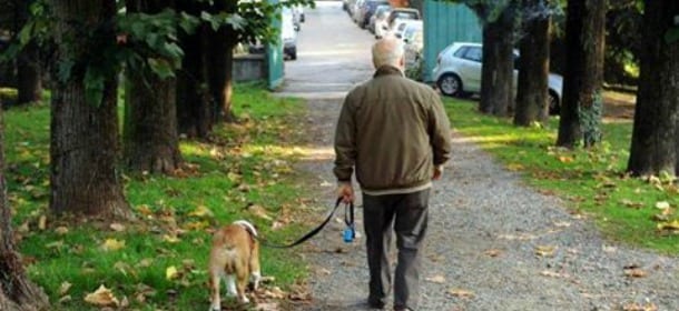 Tassa sui cani: i soldi serviranno per pulire le strade dalle deiezioni. E’ polemica