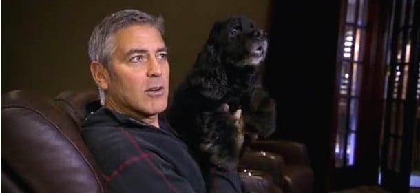 George Clooney e il suo cane Einstein: "Adora il cibo italiano"