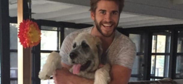 Liam Hemsworth adotta un cane grazie a Miley Cyrus [FOTO]