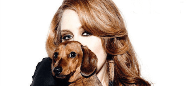 Adele: un cane maltrattato sulla sua pagina social. E' lo scherzo crudele di un fan