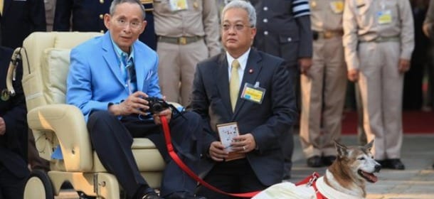 Morto il cane del re di Thailandia, ma l’operaio che lo aveva preso in giro resta in carcere