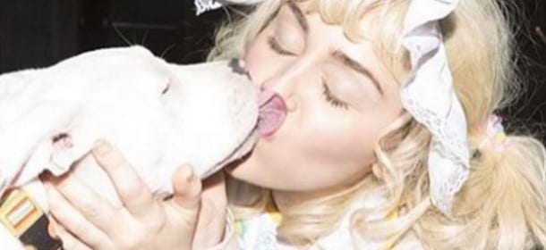 Miley Cyrus mette lo smalto al cane: bufera sui social [FOTO]