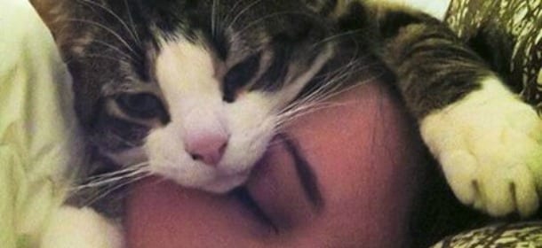 Sonni sereni con cani e gatti sul letto: perché dormire con un animale fa bene